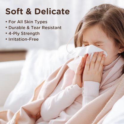 Daylight Bridge Soft Tissue 4ply, 400 Sheets~100 Sheets, 8 Packs in a bag, Gentle on face, Soft & comfortable, 100% Virgin Pulp